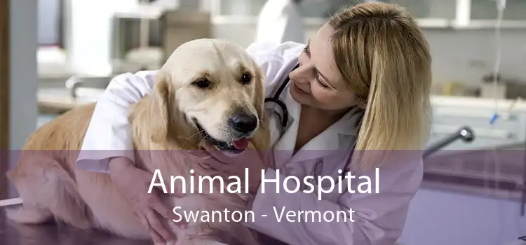 Animal Hospital Swanton - Vermont