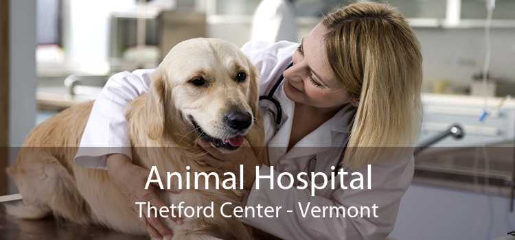 Animal Hospital Thetford Center - Vermont