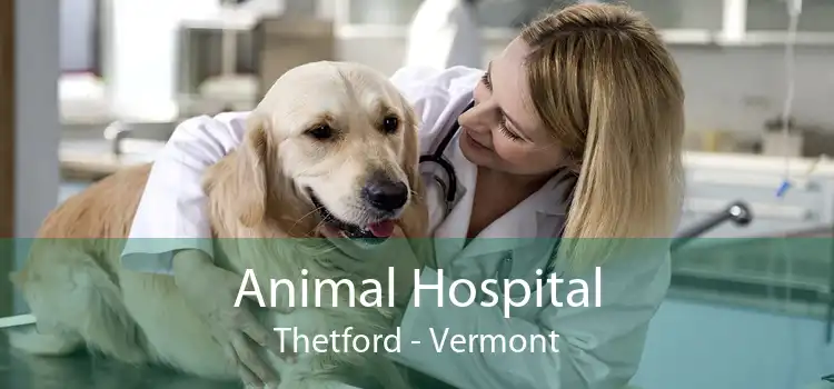 Animal Hospital Thetford - Vermont