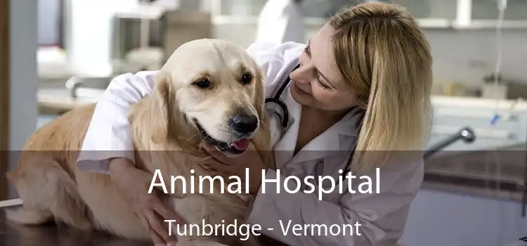Animal Hospital Tunbridge - Vermont