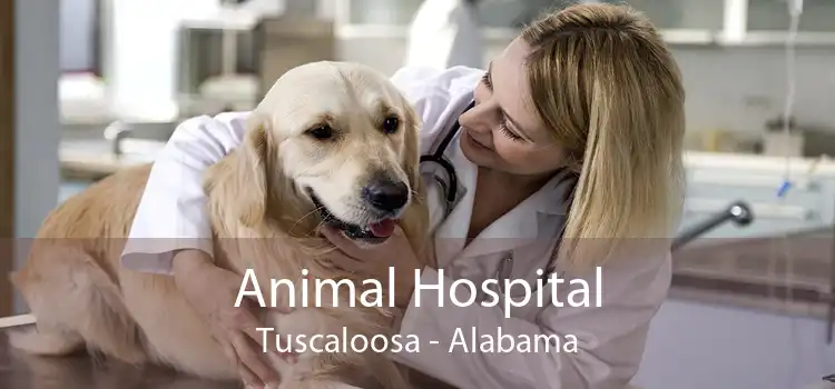 Animal Hospital Tuscaloosa - Alabama
