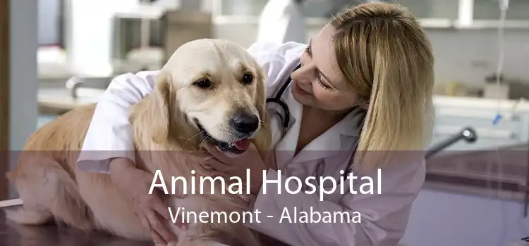 Animal Hospital Vinemont - Alabama