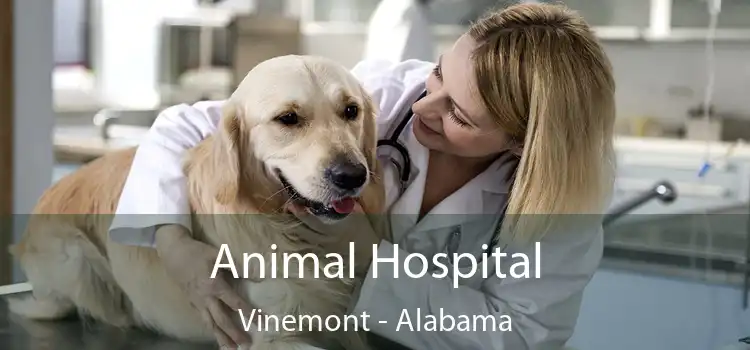 Animal Hospital Vinemont - Alabama