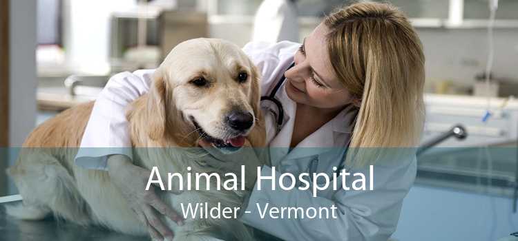Animal Hospital Wilder - Vermont