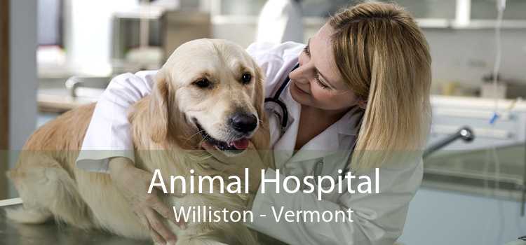 Animal Hospital Williston - Vermont