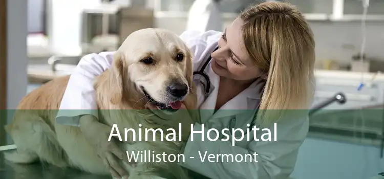 Animal Hospital Williston - Vermont