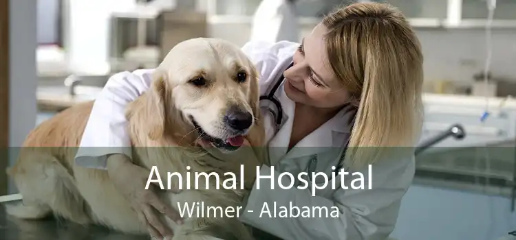 Animal Hospital Wilmer - Alabama