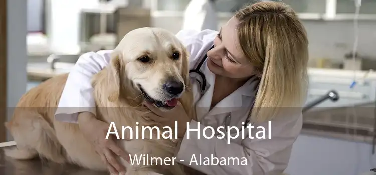 Animal Hospital Wilmer - Alabama