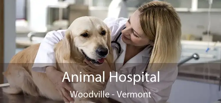 Animal Hospital Woodville - Vermont