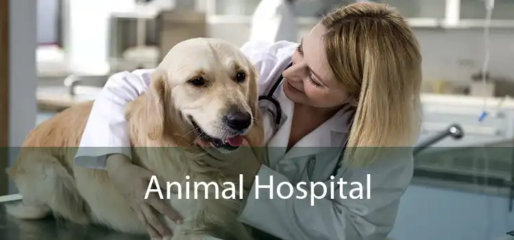 Animal Hospital 