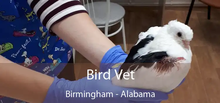 Bird Vet Birmingham - Alabama