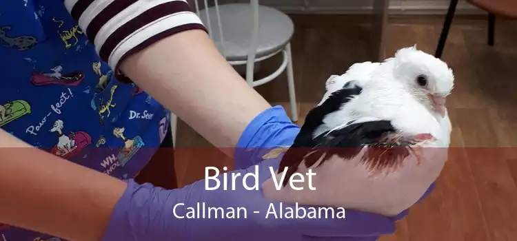 Bird Vet Callman - Alabama