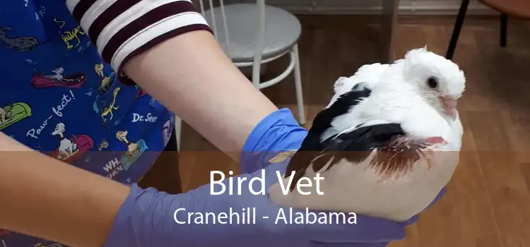 Bird Vet Cranehill - Alabama