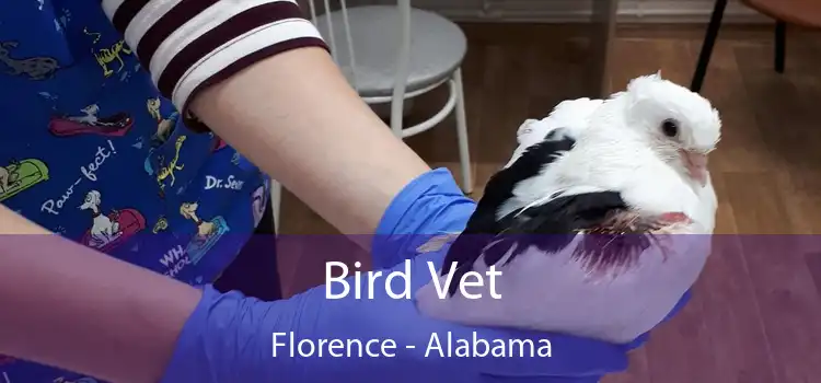 Bird Vet Florence - Alabama