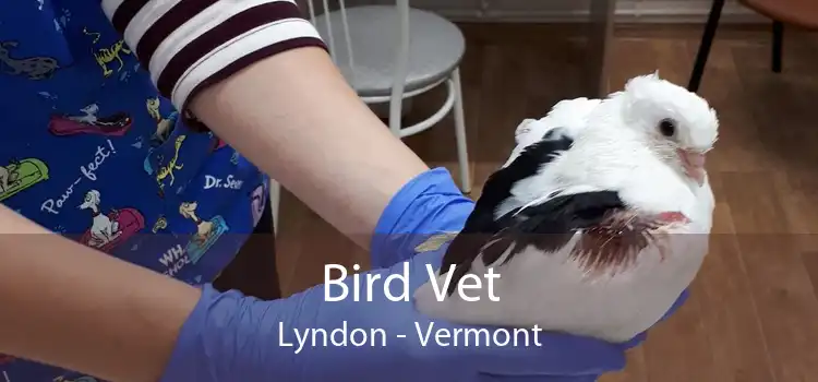 Bird Vet Lyndon - Vermont