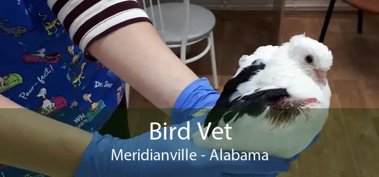Bird Vet Meridianville - Alabama