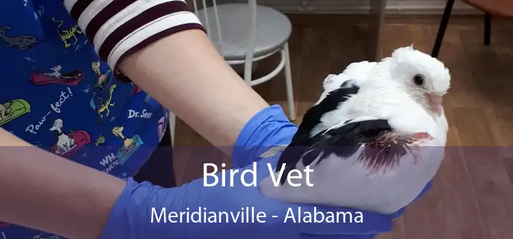 Bird Vet Meridianville - Alabama