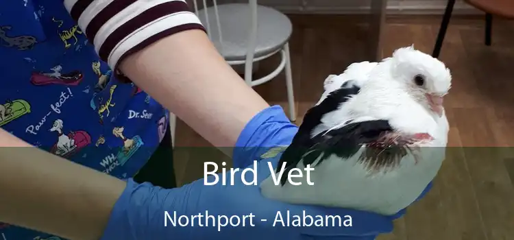 Bird Vet Northport - Alabama