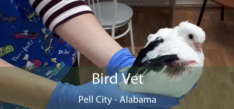 Bird Vet Pell City - Alabama