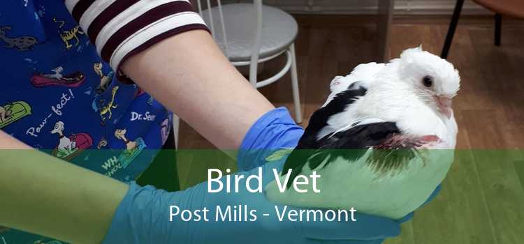 Bird Vet Post Mills - Vermont