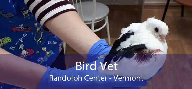 Bird Vet Randolph Center - Vermont