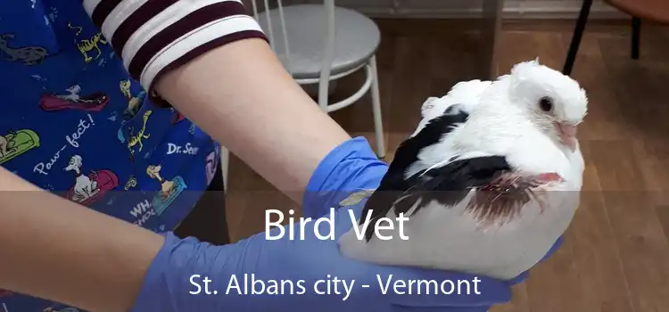 Bird Vet St. Albans city - Vermont