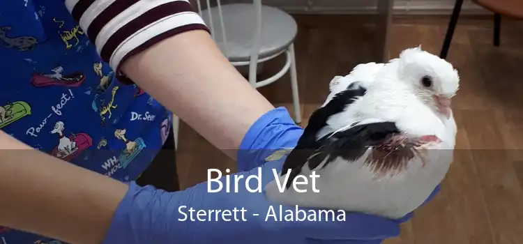 Bird Vet Sterrett - Alabama