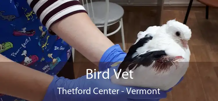 Bird Vet Thetford Center - Vermont