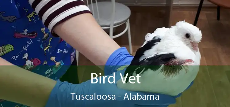 Bird Vet Tuscaloosa - Alabama