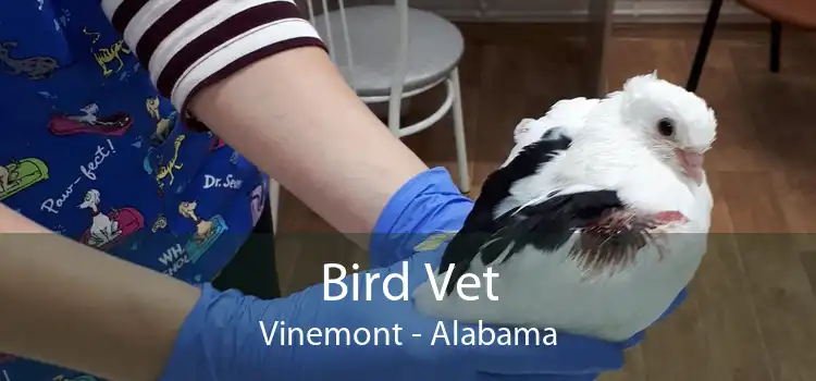 Bird Vet Vinemont - Alabama