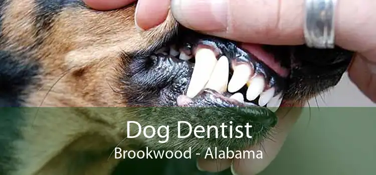Dog Dentist Brookwood - Alabama