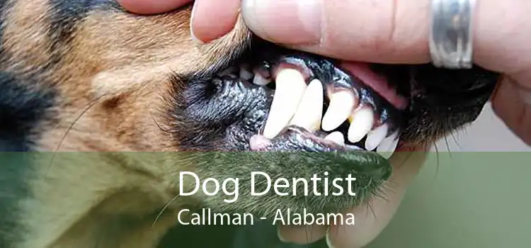 Dog Dentist Callman - Alabama