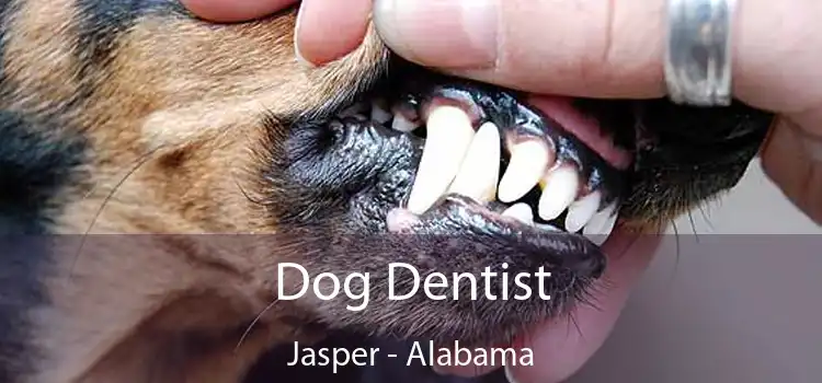 Dog Dentist Jasper - Alabama