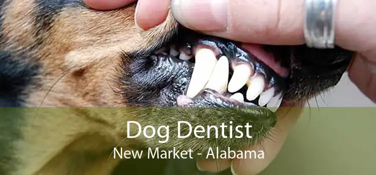 Dog Dentist New Market - Alabama