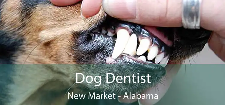 Dog Dentist New Market - Alabama