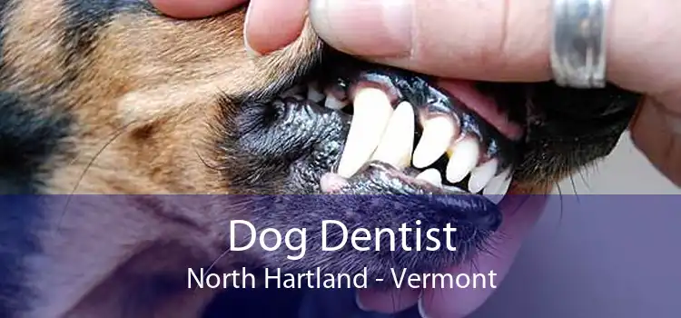 Dog Dentist North Hartland - Vermont