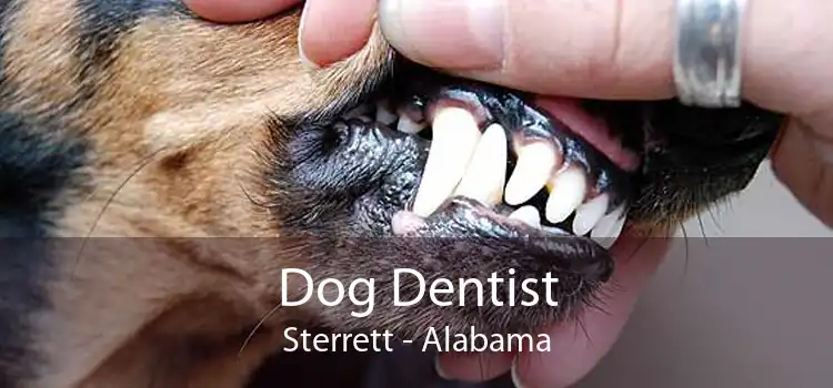 Dog Dentist Sterrett - Alabama