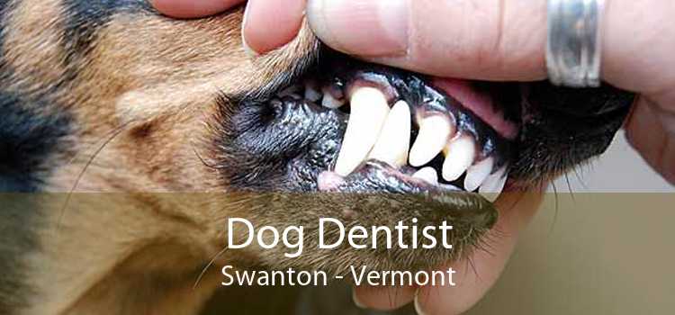 Dog Dentist Swanton - Vermont