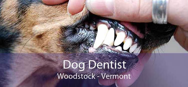 Dog Dentist Woodstock - Vermont