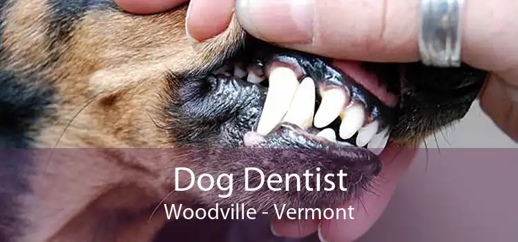 Dog Dentist Woodville - Vermont