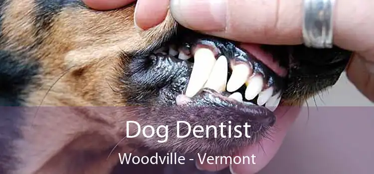 Dog Dentist Woodville - Vermont