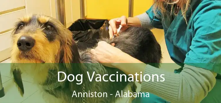 Dog Vaccinations Anniston - Alabama