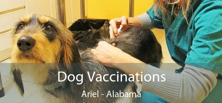 Dog Vaccinations Ariel - Alabama