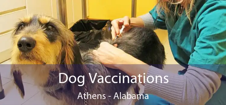 Dog Vaccinations Athens - Alabama