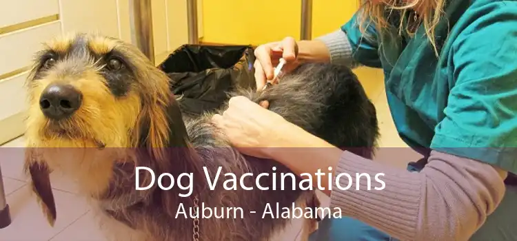 Dog Vaccinations Auburn - Alabama