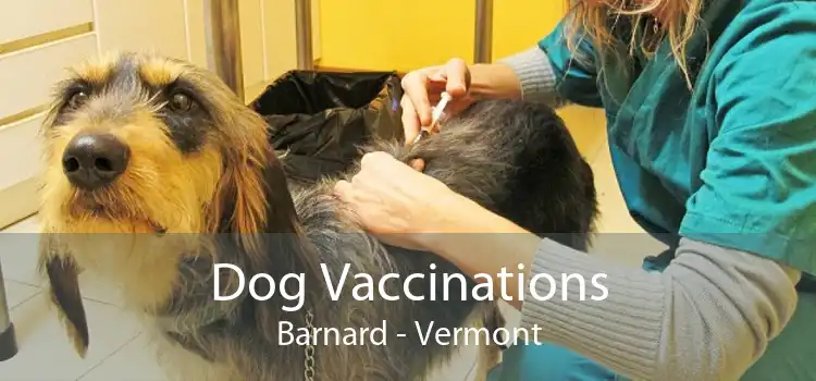 Dog Vaccinations Barnard - Vermont