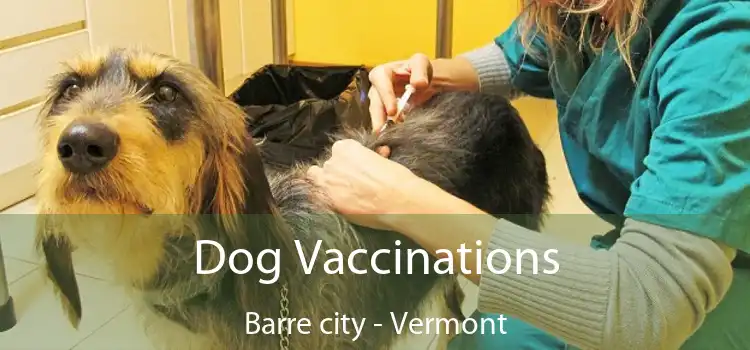 Dog Vaccinations Barre city - Vermont