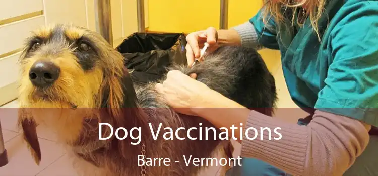 Dog Vaccinations Barre - Vermont