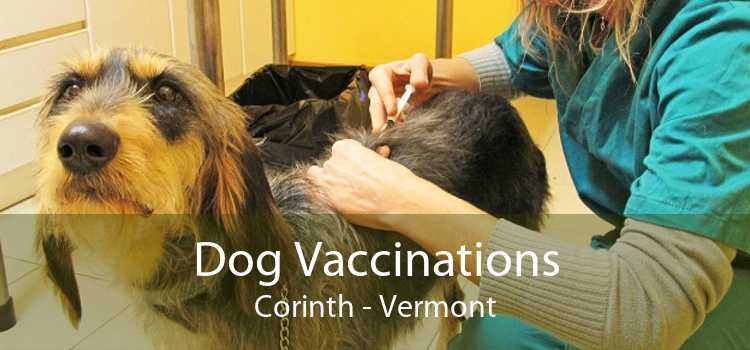 Dog Vaccinations Corinth - Vermont