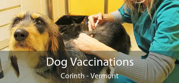 Dog Vaccinations Corinth - Vermont